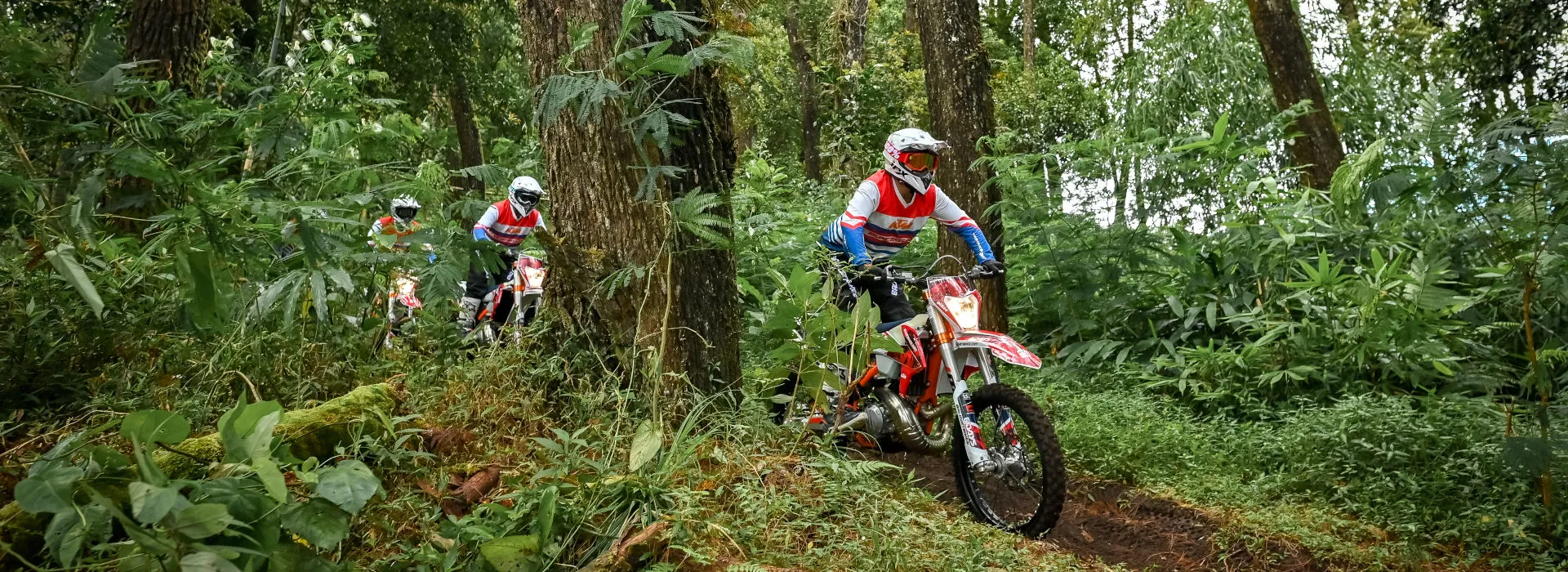 Forest Kintamani Dirt Bike Tour | Kima Surf Bali